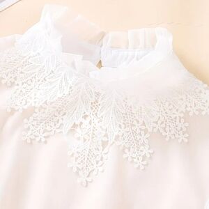 Delicate White Lace Collar Blouse